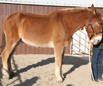 Rock and Roll Diary-12-5-10_12