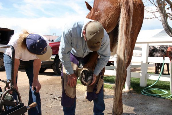 roll-farrier-wash-tail-5-6-16-099_cc