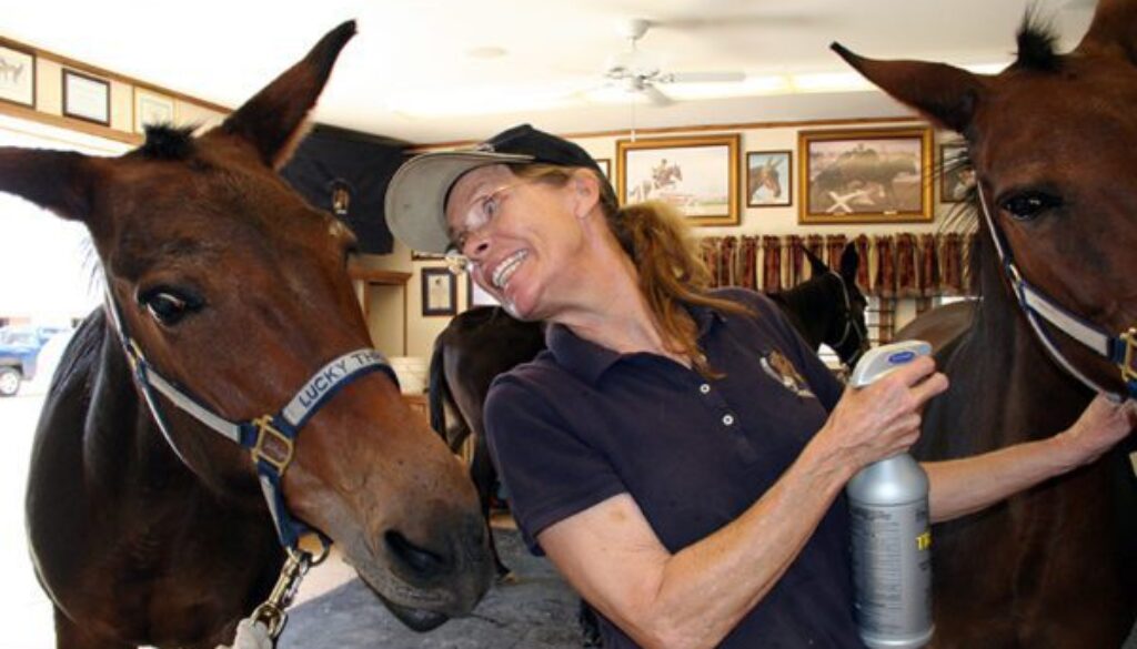 SixMulesDriving8-20-2010-001CC