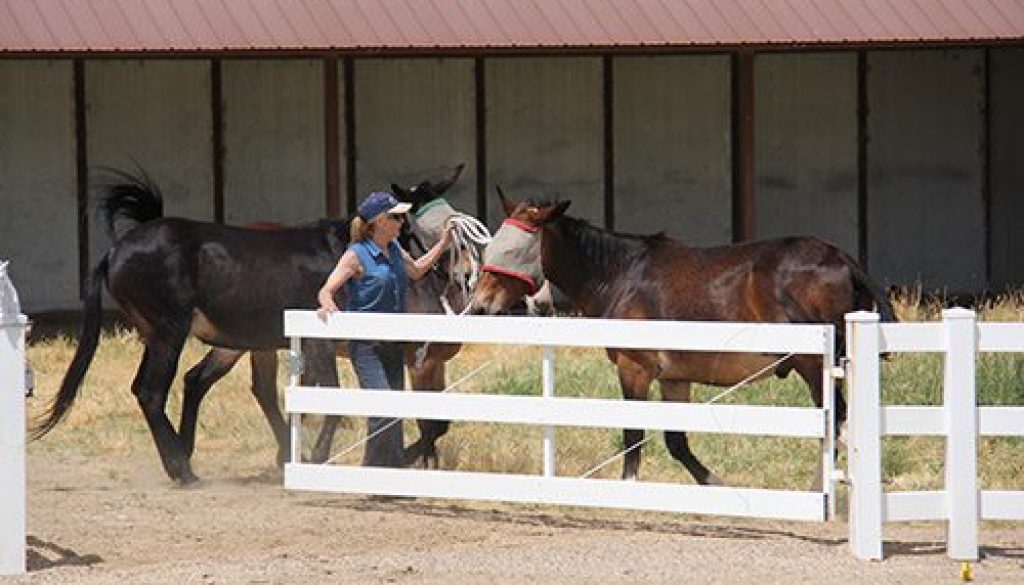 TT-22GateTraining