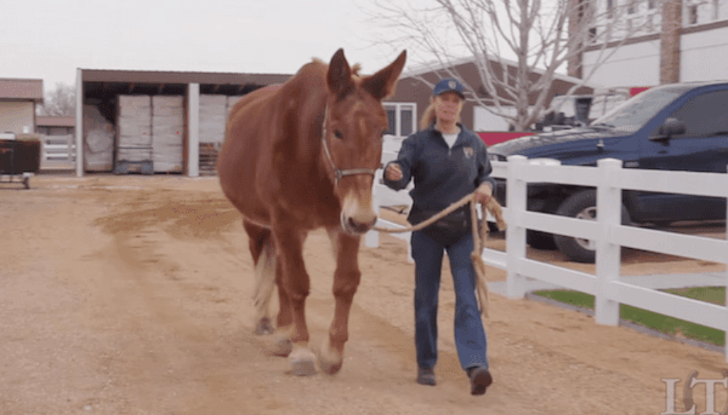 TT-33-Planning-Every-Move-600x400