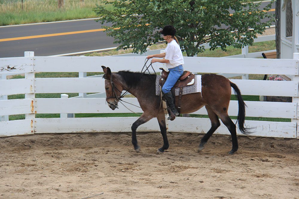 Riding in the Round Pen without an Assistant