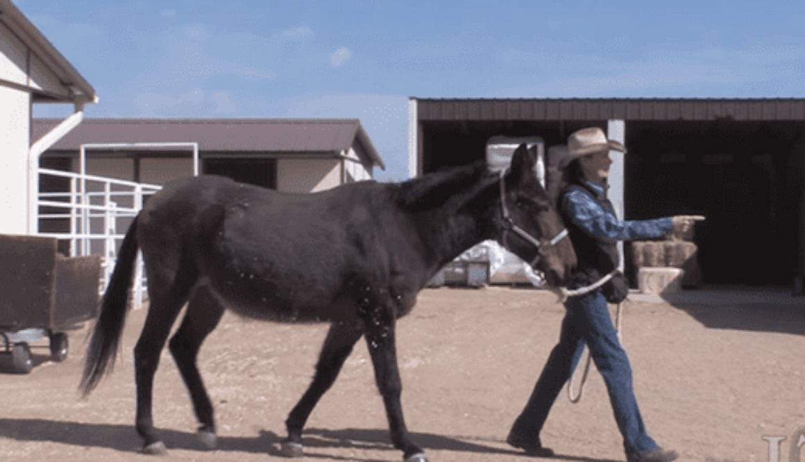 TT32-GoodPosture-slideshow