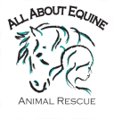 all about equine rescue