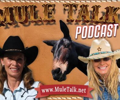 slide4_podcast_1125